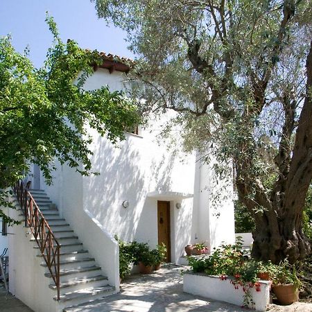 Villas Alexandra Skiathos Platanias  Екстер'єр фото