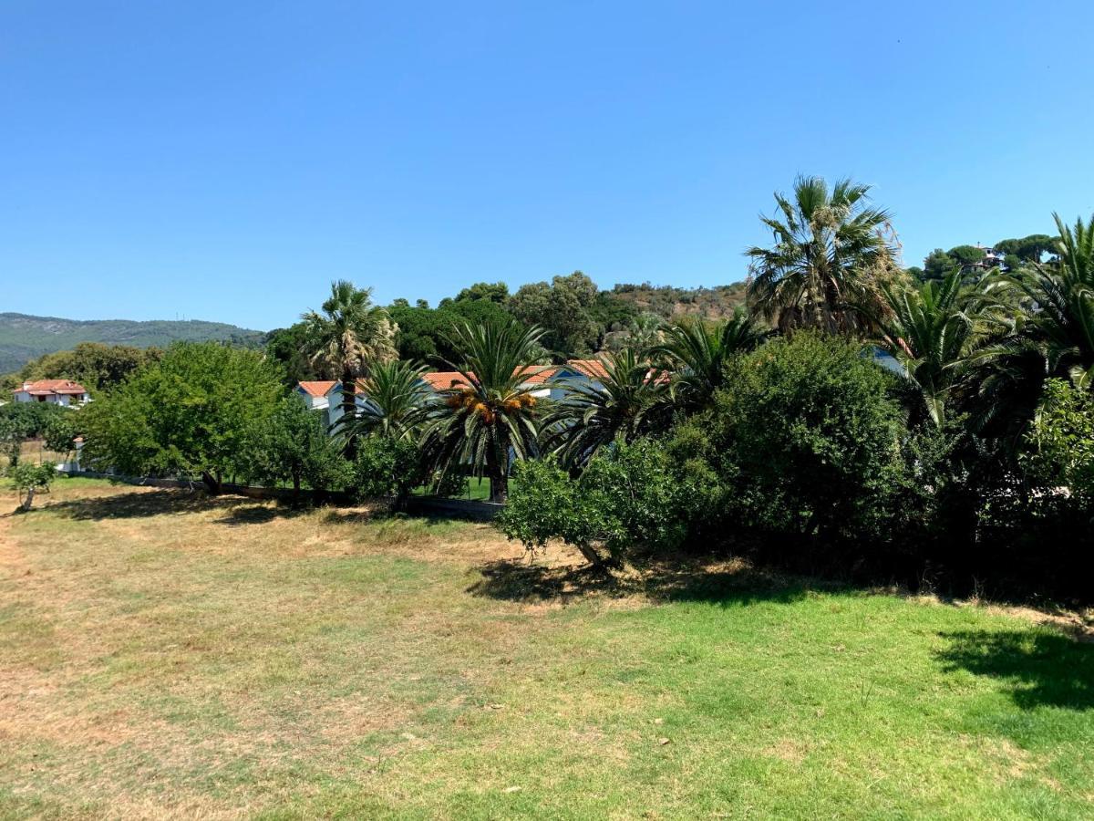 Villas Alexandra Skiathos Platanias  Екстер'єр фото