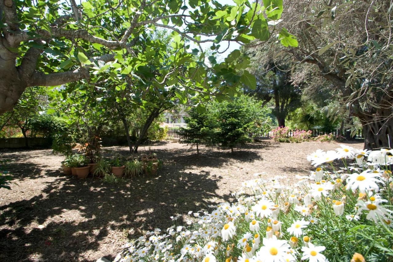 Villas Alexandra Skiathos Platanias  Екстер'єр фото