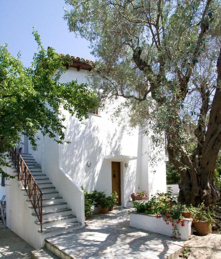 Villas Alexandra Skiathos Platanias  Екстер'єр фото