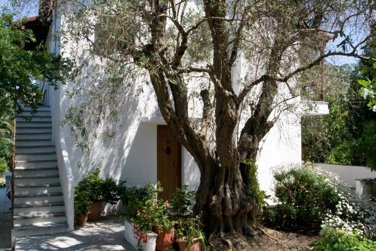 Villas Alexandra Skiathos Platanias  Екстер'єр фото